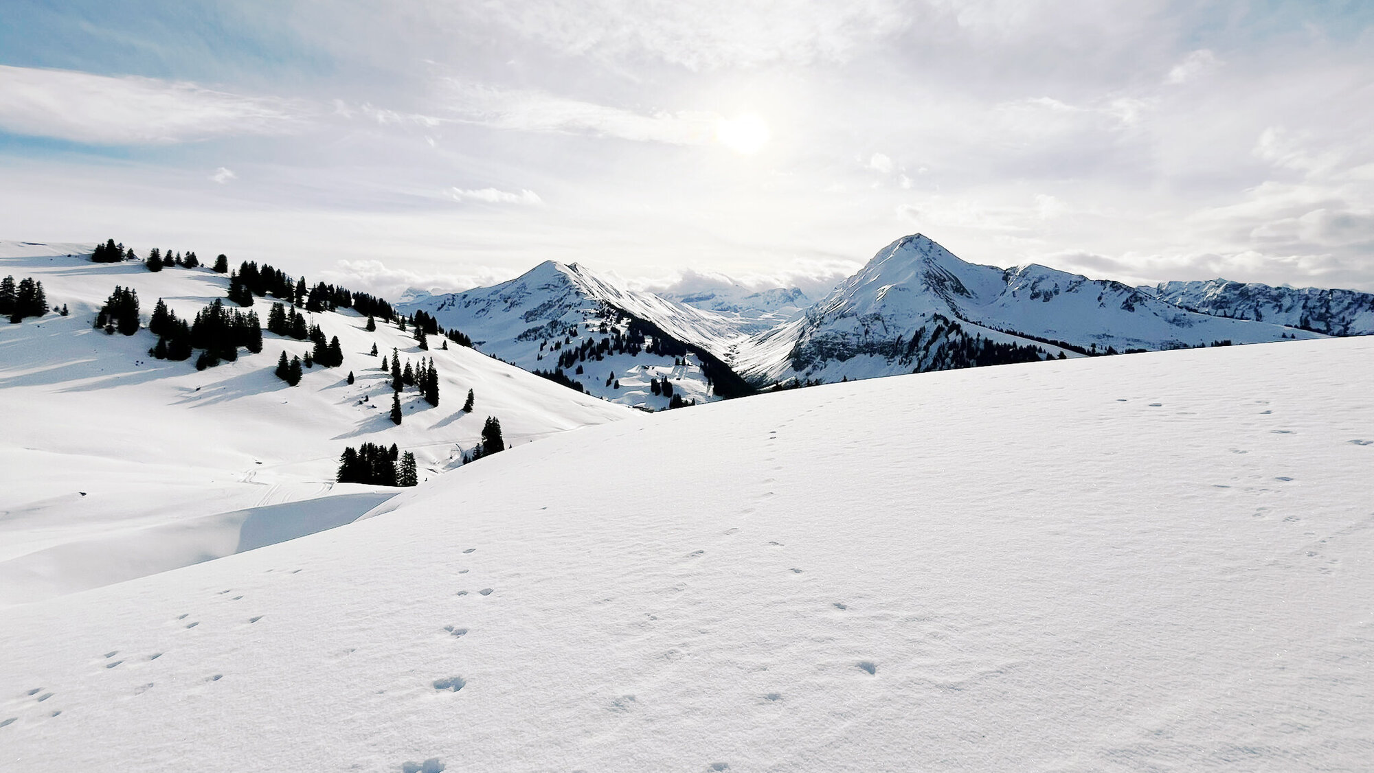 Swiss Alps
